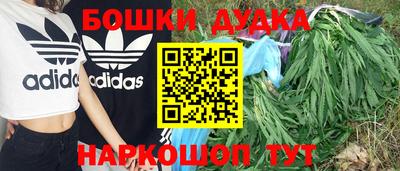 гидра Краснодар