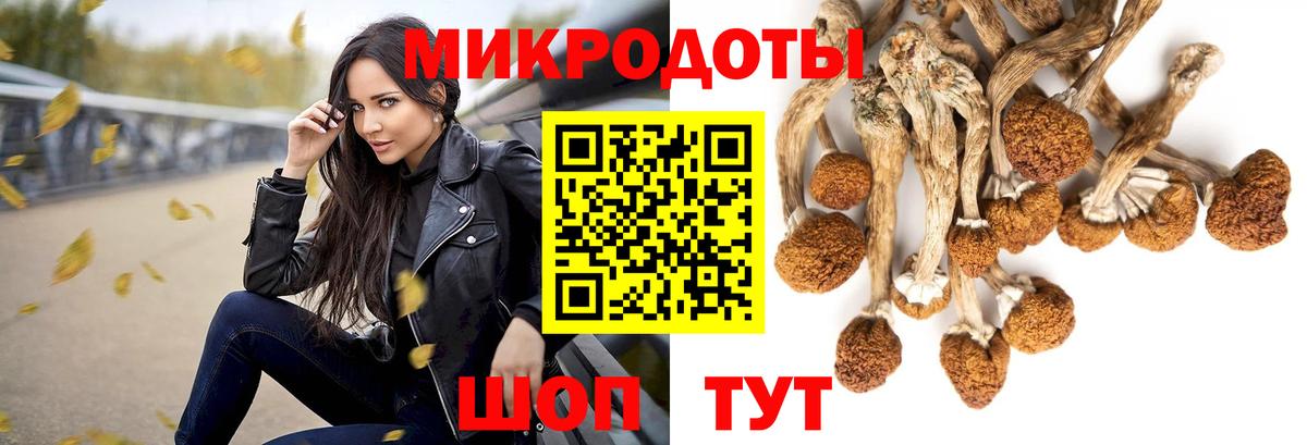 Пятигорск  Псилоцибиновые грибы Psilocybe  Вход с VPN  Галлюциногенные грибы мицелий 