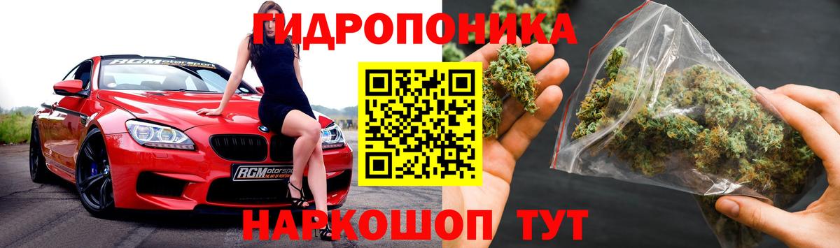 Бошки Шишки план Пятигорск